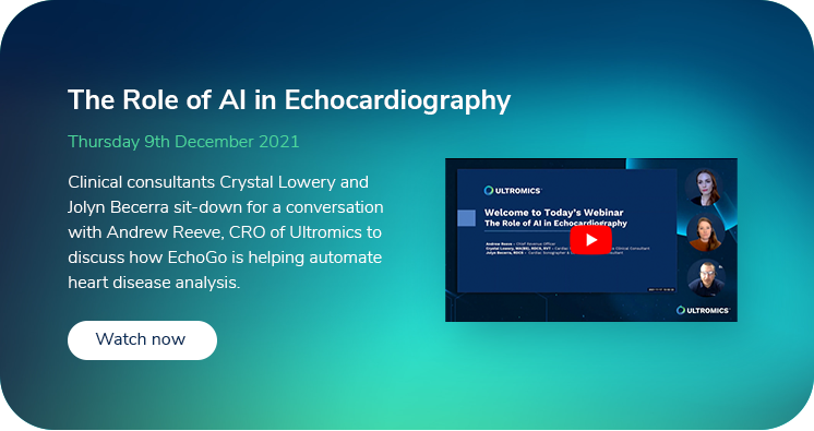 The Role of AI in Echocardiography