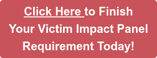 YouImpact Online Victim Impact Panel Program