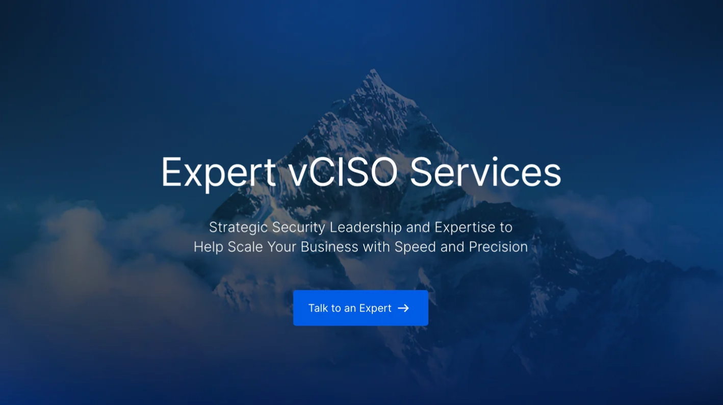 Expert vCISO Services
