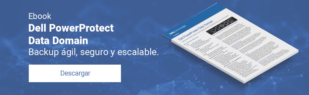 CTA- Dell PowerProtect Data Domain