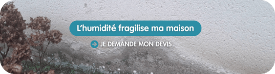Devis Traitement de l'Humidité
