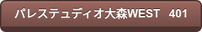 パレステュディオ大森WEST　401