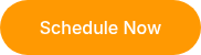 Schedule Now