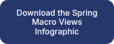 Download the Spring Macro Views Infographic