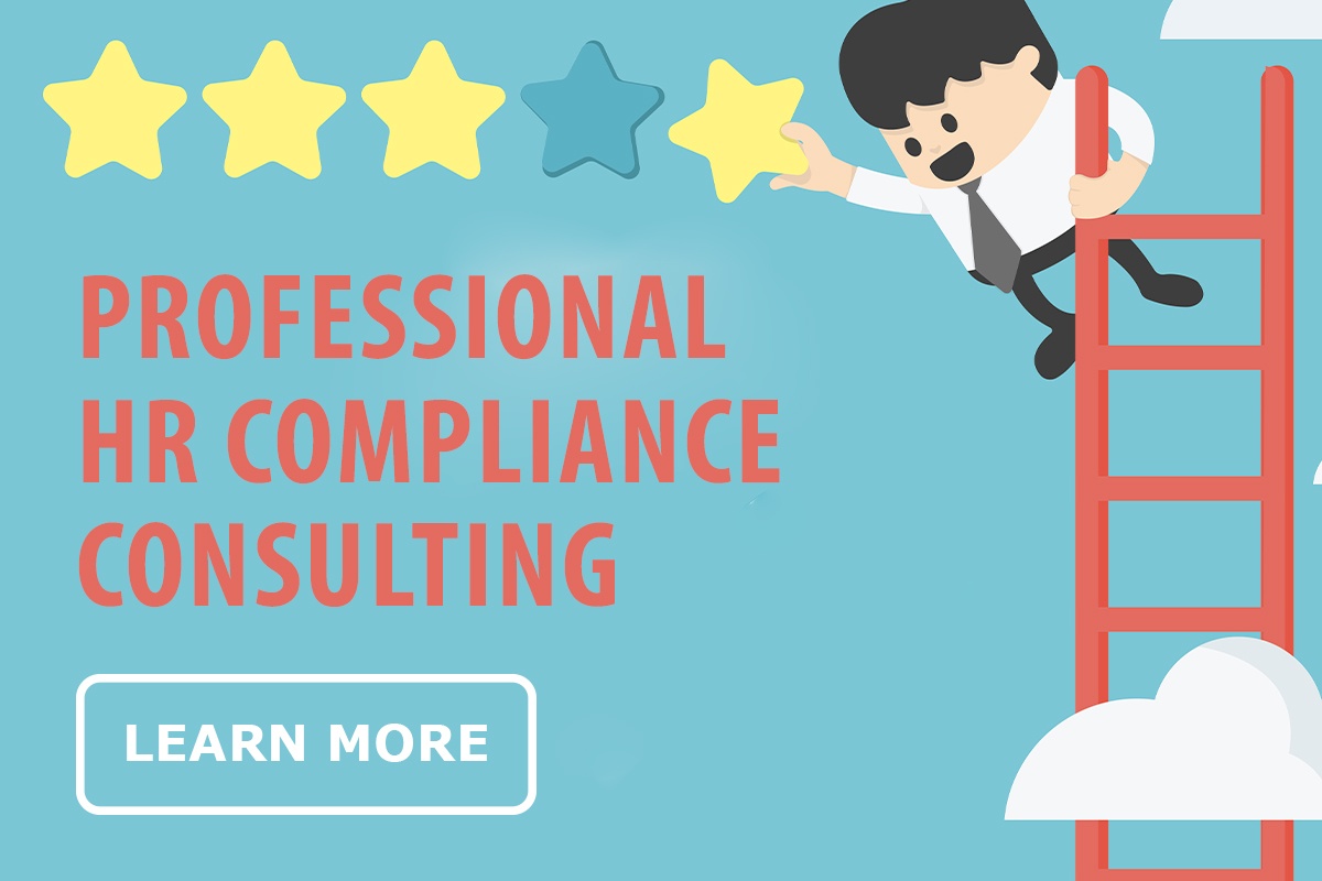 Professional HR compliance consulting