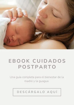 Ebook cuidados postparto