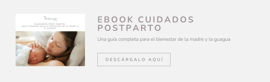 Ebook cuidados postparto