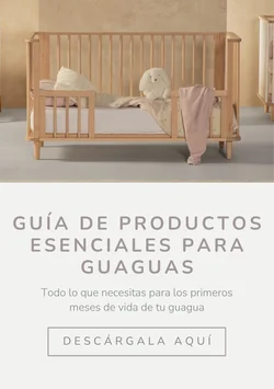 Guía de productos esenciales para guaguas