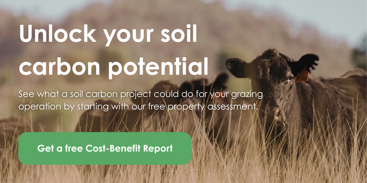 Get a Free Cost-Benefit Report