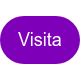 Visita