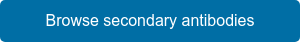 Our selection of secondary antibodies
