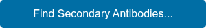 Find Secondary Antibodies...
