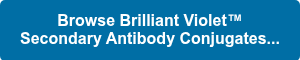 <strong>Browse Brilliant Violet™ Secondary Antibody Conjugates...</strong>