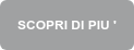 SCOPRI DI PIU '