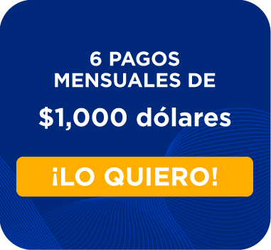6 pagos 