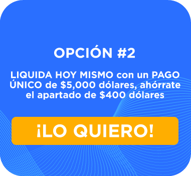 1 pago