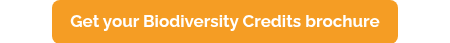 Get your Biodiversity Credits brochure