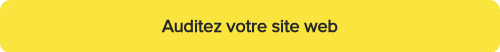 <strong>Auditez votre site web</strong>