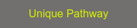 Unique Pathway