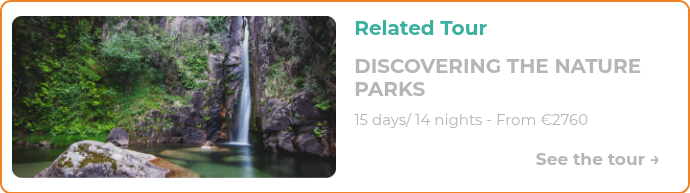 DISCOVERING THE NATURE PARKS