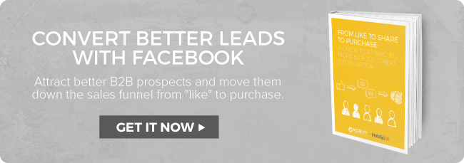 Guide to Attracting B2B Customers on FB ebook