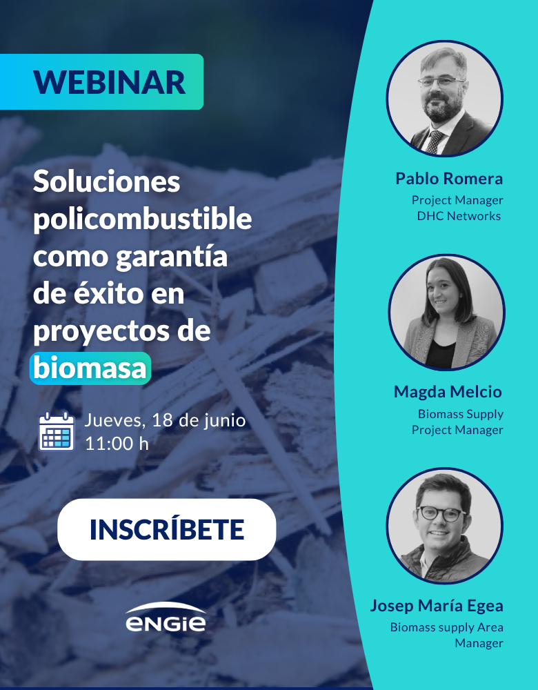 Webinar Biomasa 
