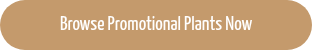 Browse Promotional Plants Now