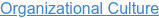Organizational Culture