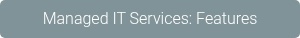Managed IT Services: Features
