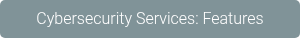 Cybersecurity Services: Features