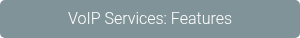 VoIP Services: Features