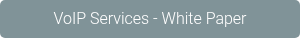 VoIP Services - White Paper