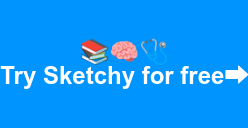 🩺 Try Sketchy for free⮕