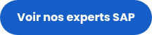 Voir nos experts SAP