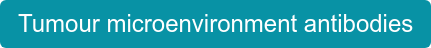 Tumour microenvironment antibodies