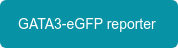 GATA3-eGFP reporter 
