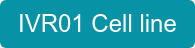 IVR01 Cell line