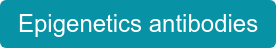 Epigenetics antibodies