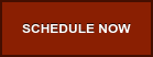 SCHEDULE NOW