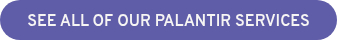 SEE ALL OF OUR PALANTIR SERVICES