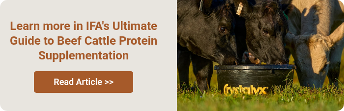 Learn more in IFA's Ultimate Guide to Beef Cattle Protein Supplementation  